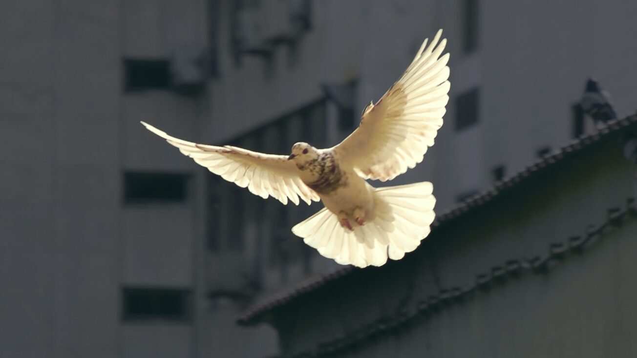 sunguk-kim-JhqBxsORuXA-unsplash