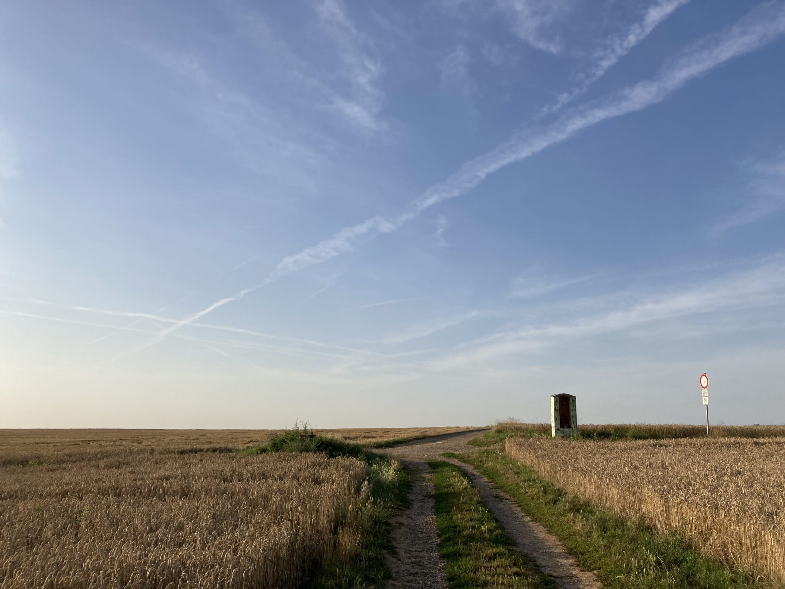 Weizenfelder und Himmel