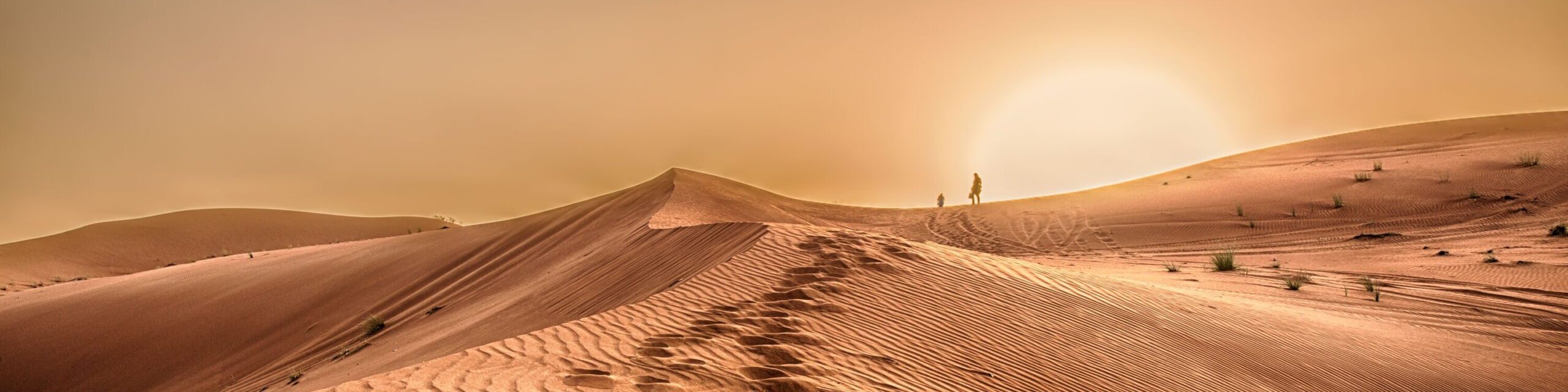 Spuren im Sand, Wüste