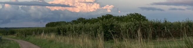 Weg im Abendlicht Weg im Abendlicht