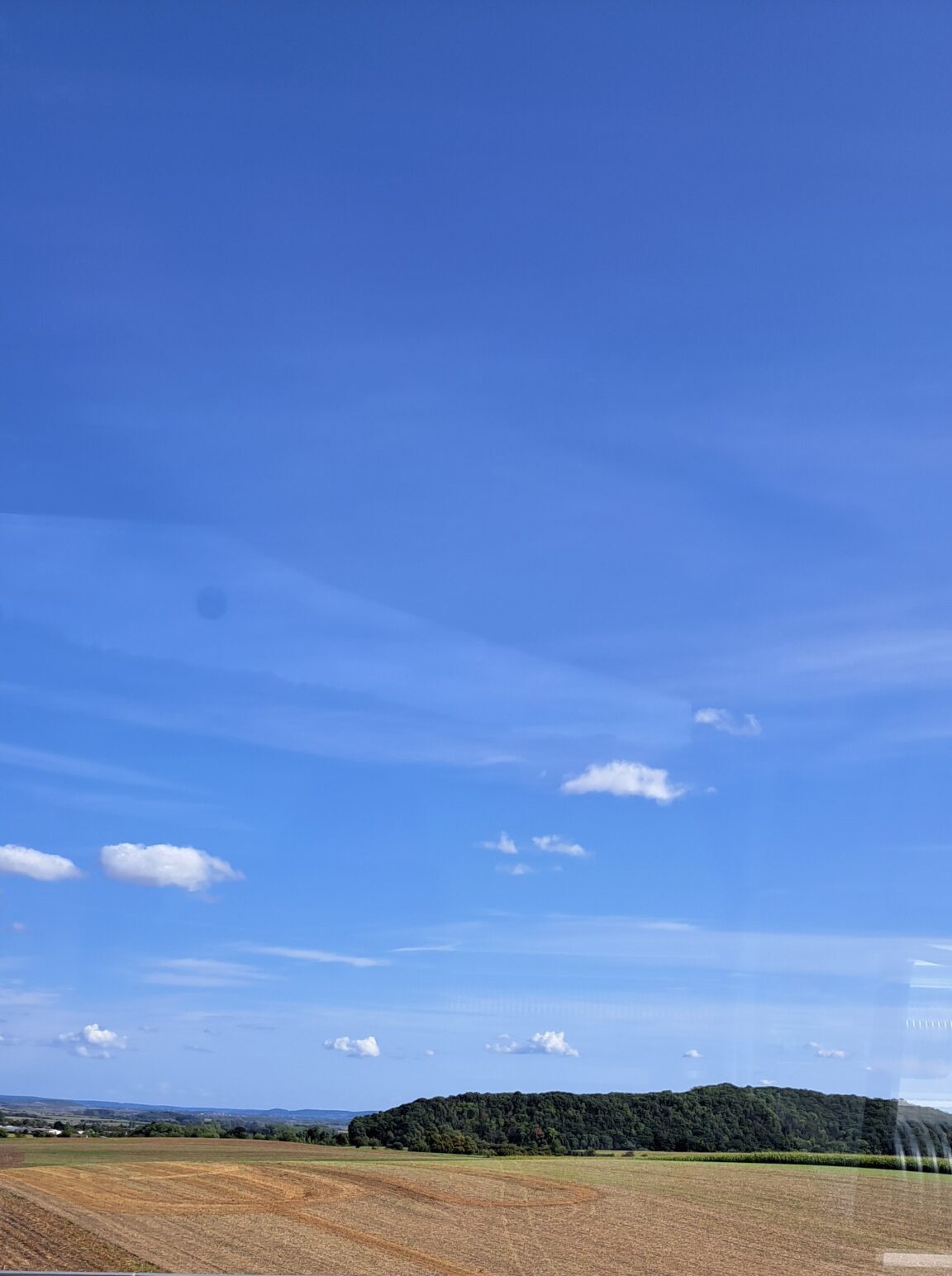 20250913_115847 LAndschaft mit abgeernteten Korfeld einem Wald und blauem Himmel mit keinen weißen Wolken.