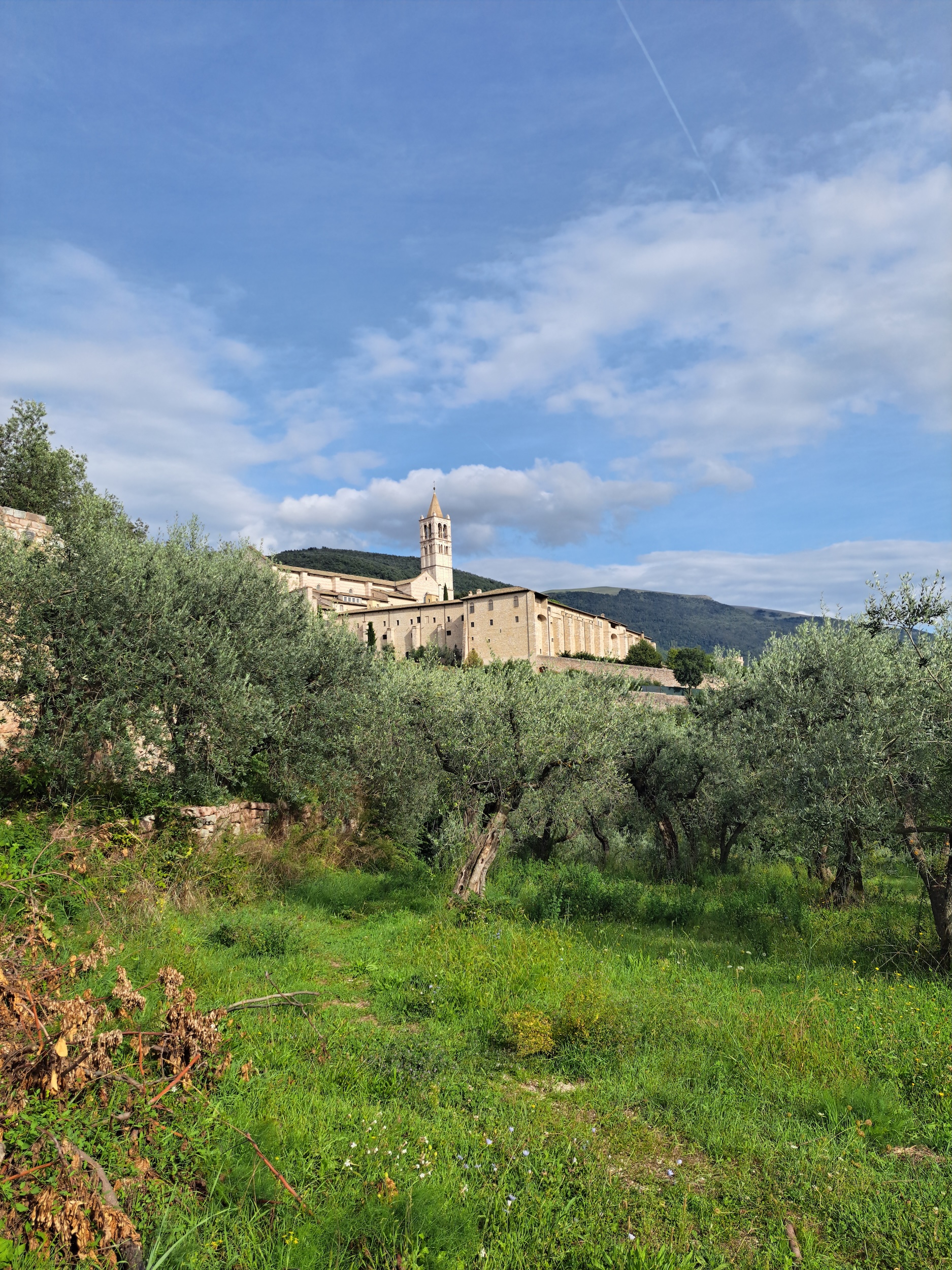 20250914_162702 Wiese mit olivenbäumen und mittelalterlichem Kloster