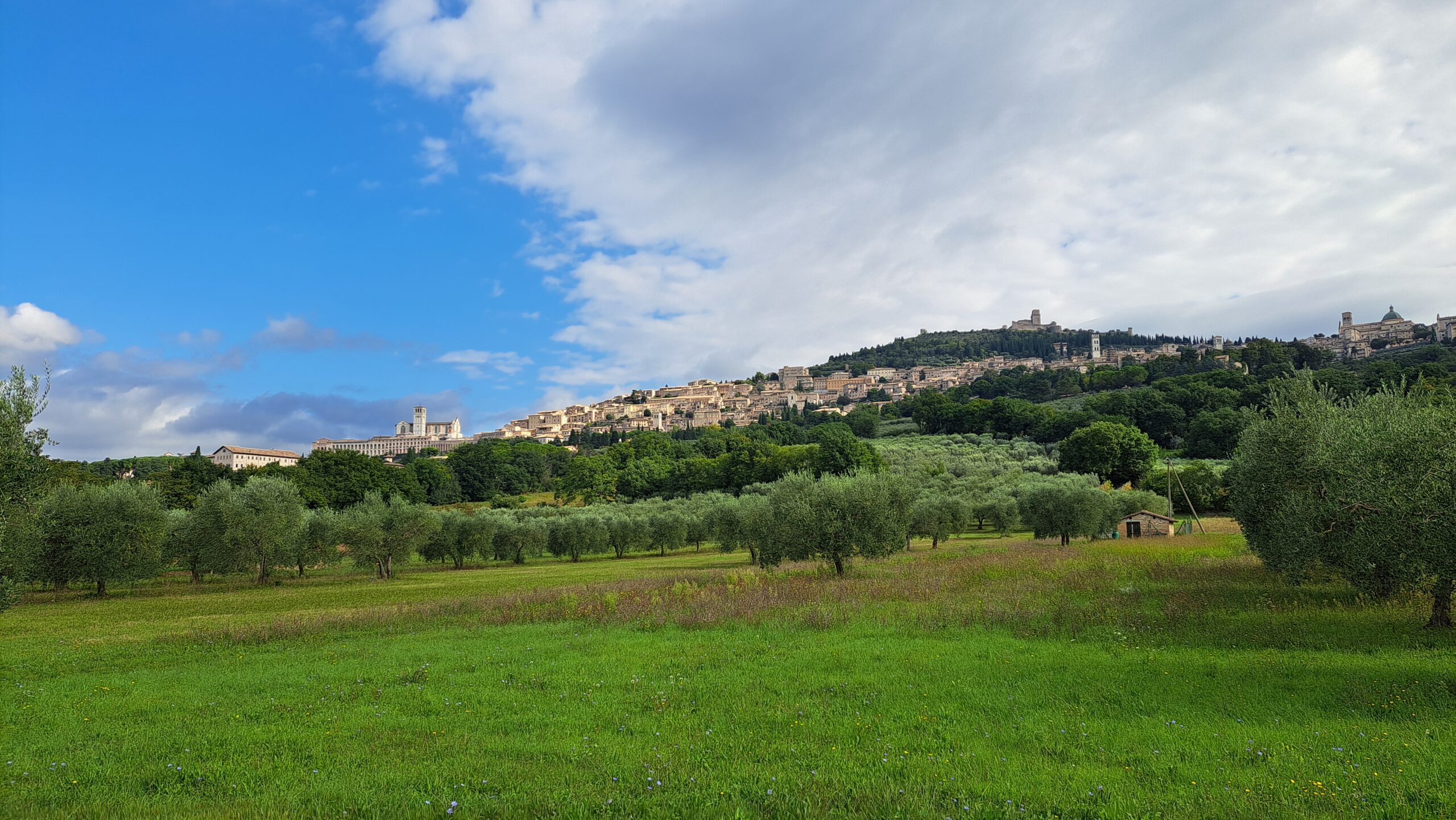 20250916_101119 Panoramablid Assisi