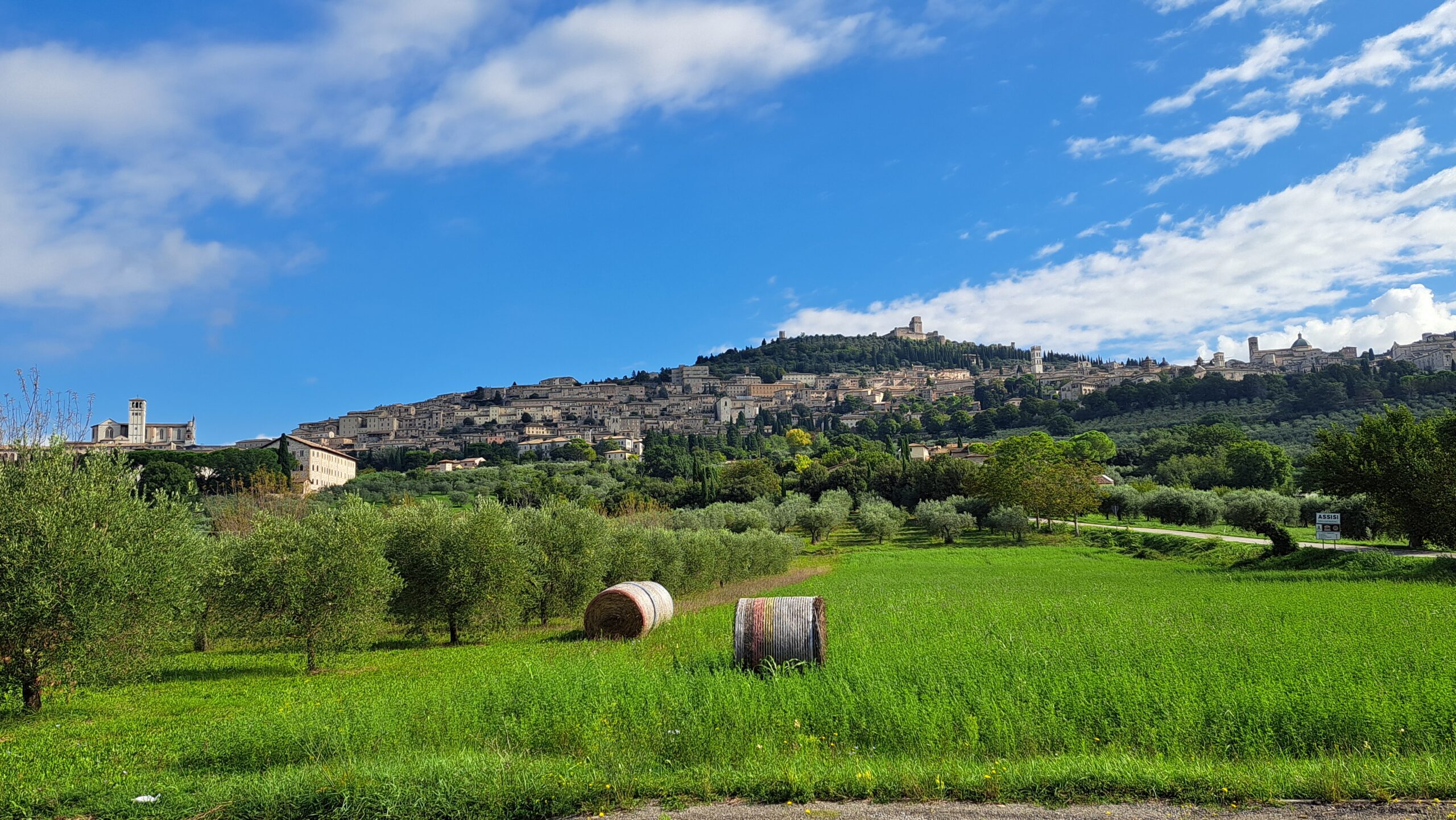 20250916_101916 Panoramabild Assisi