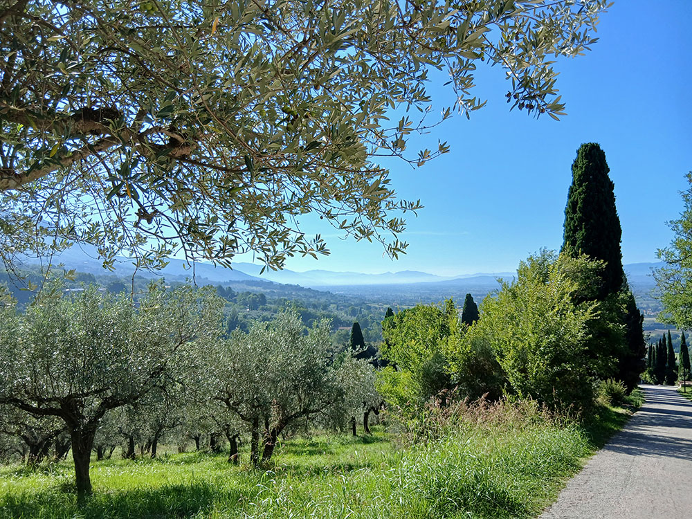 Auf dem Weg von Assisi nach San Damiano Blick ins Tal