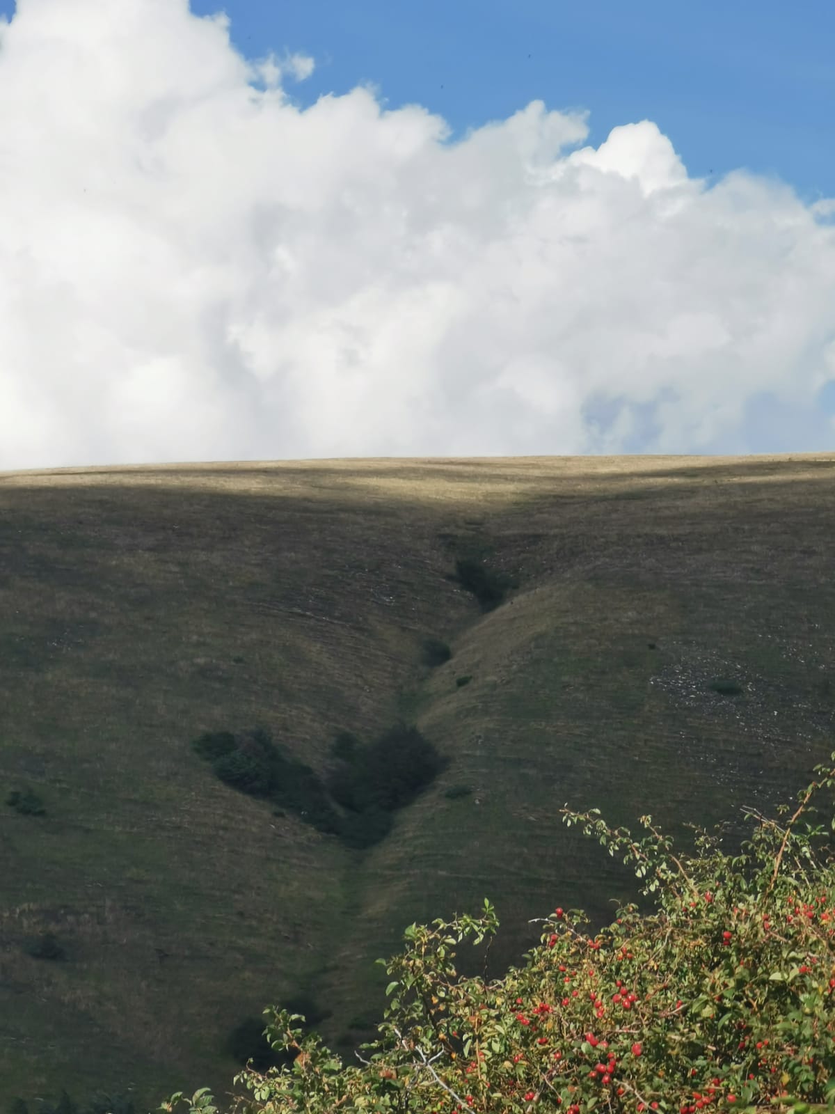 IMG-20250917-WA0057