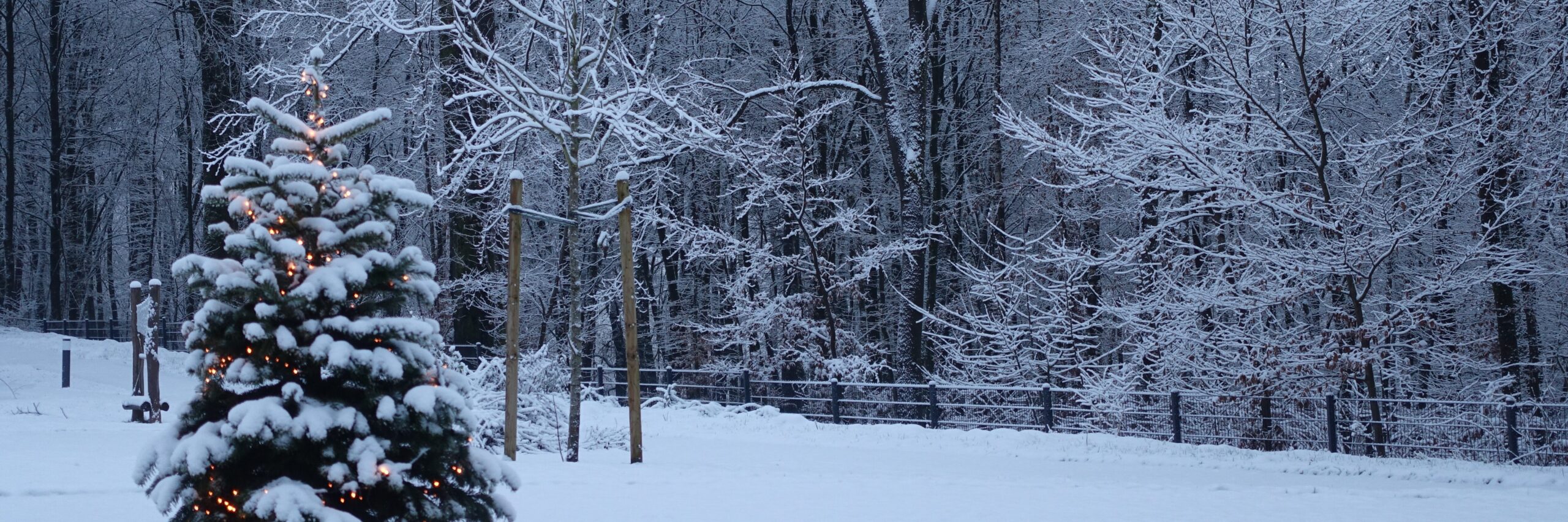 Baum mit Lichterkette in winterlicher Landschaft