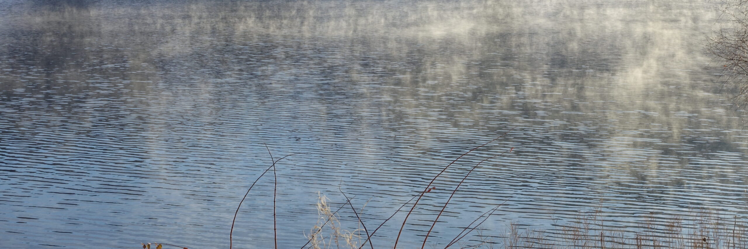 Sonnenbeschienene Nebelschwaden über dem Wasser