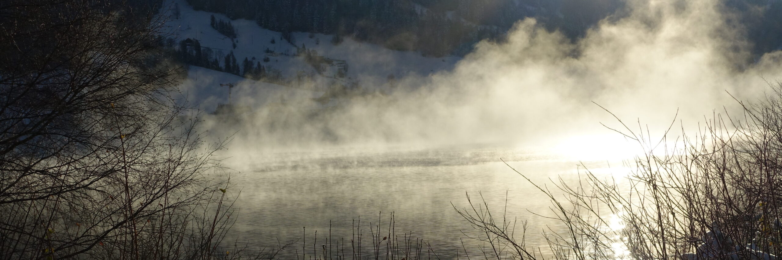 Nebel über dem Wasser, der in der Sonne hell leuchtet