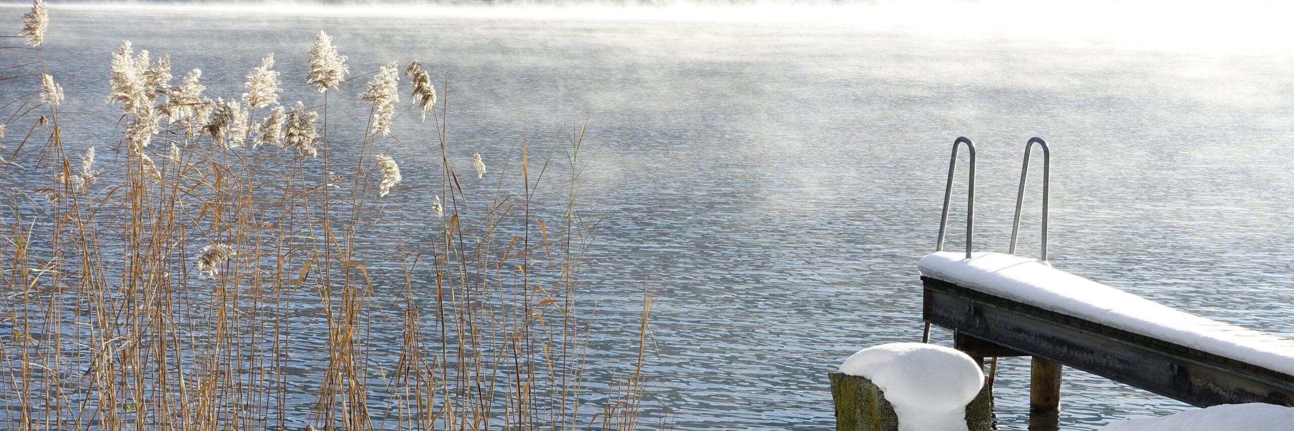 Einn schneebdedckter Badesteg, der ins Wasser ragt, daneben Schilf