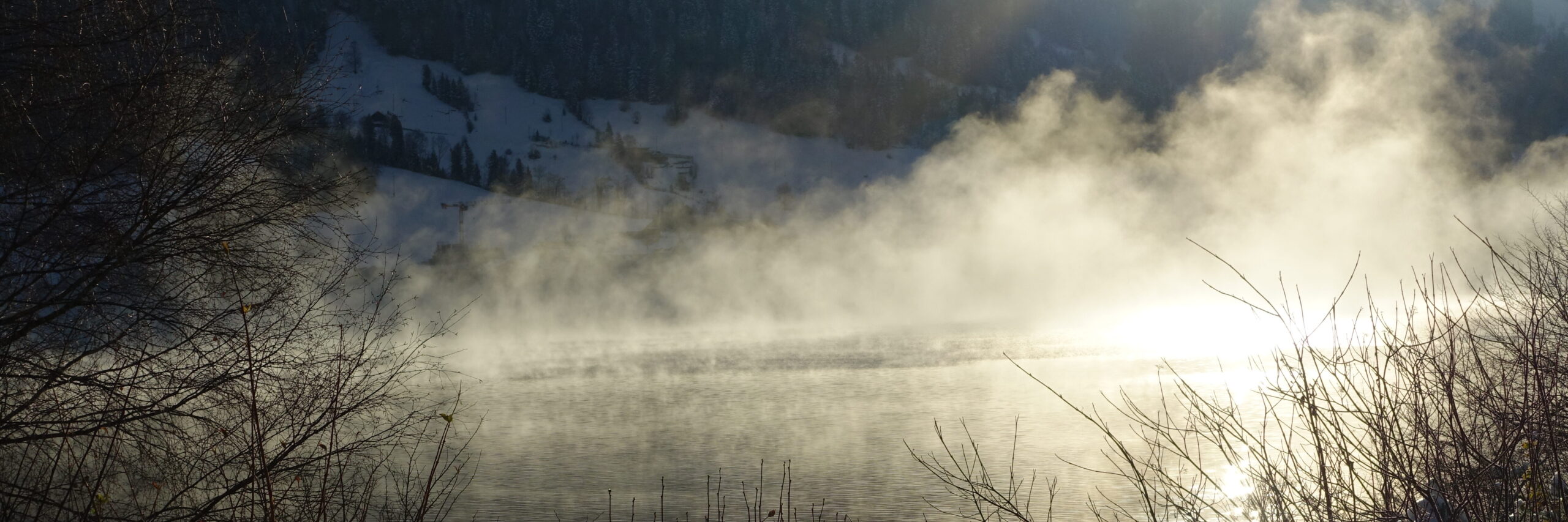 Nebel über dem Wasser, der in der Sonne hell leuchtet