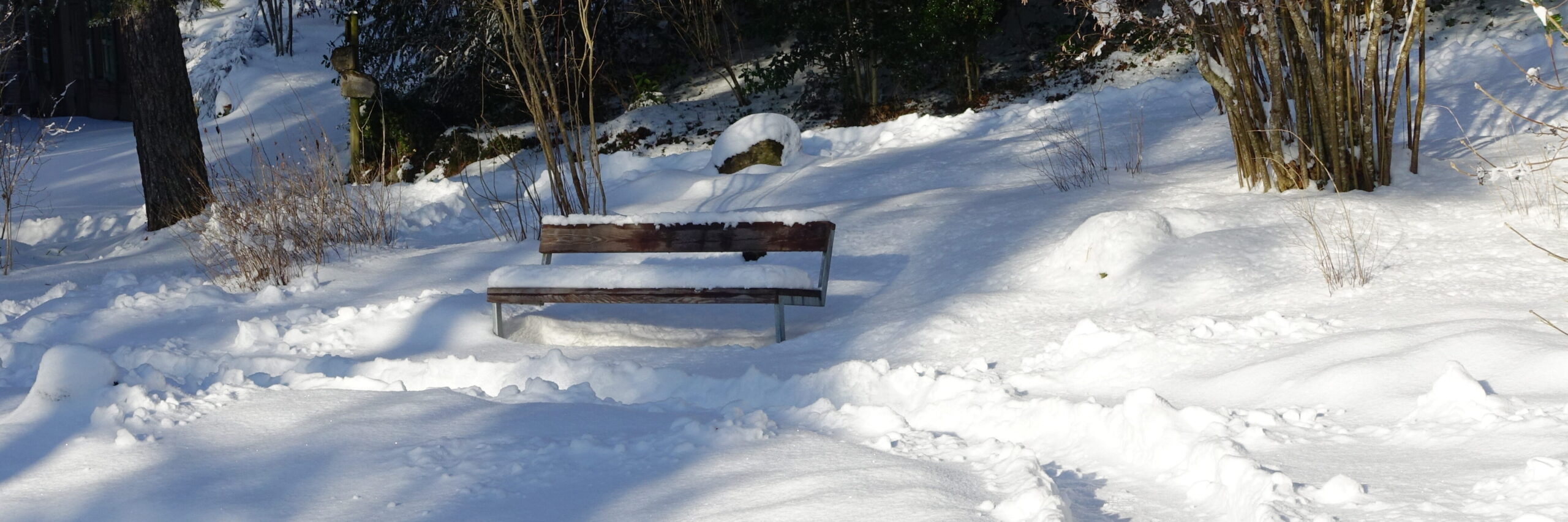 Bank im Schnee, die Schatten der tiefstehenden Sonne kommen von rechts ins Bild