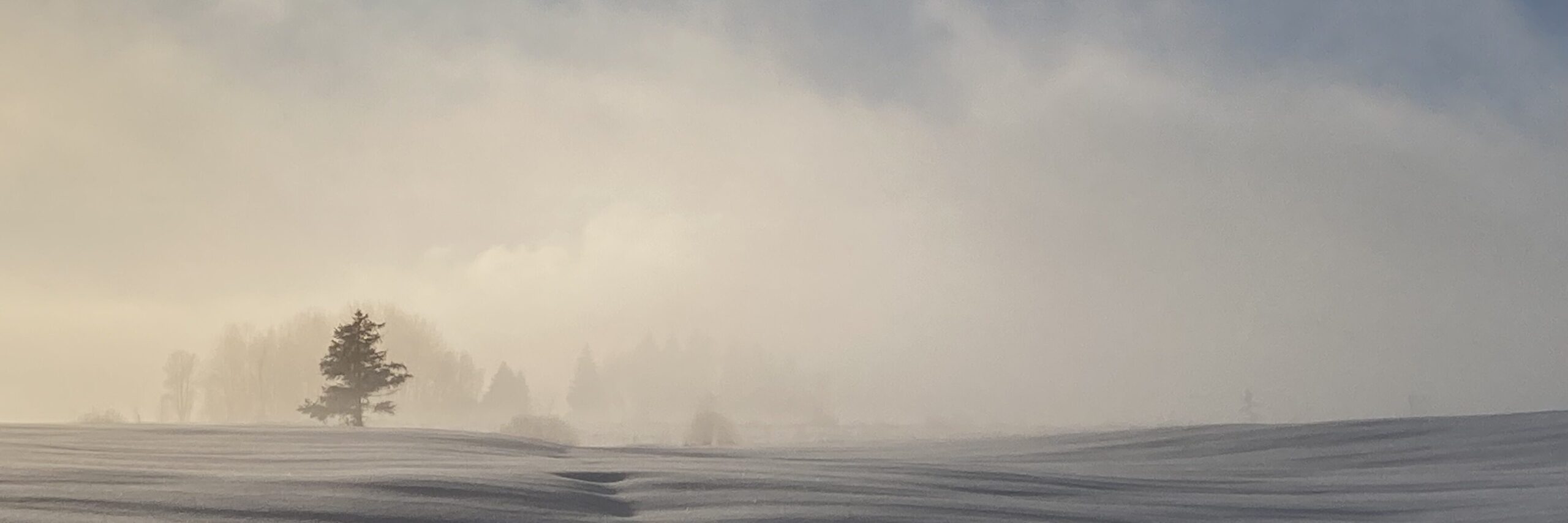 Winterlandschaft mit Sonne die durch den Nebel bricht. am Horizont ein einzelner Baum